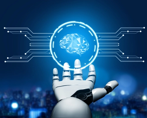 Large Language Model Development